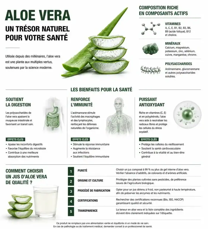 Infographie sur les bienfaits et les critères de qualité d'une boisson à l'aloe vera