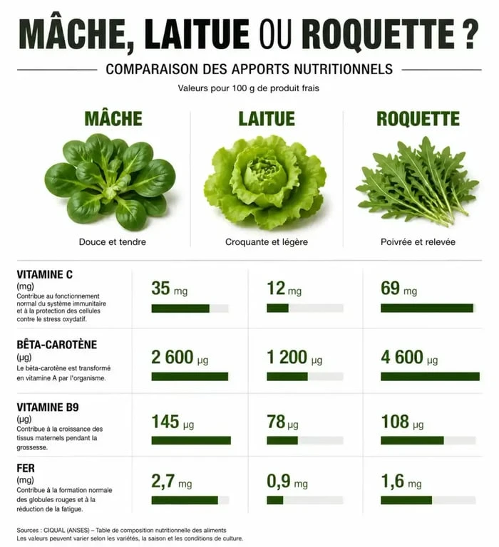 Infographie comparative des bienfaits nutritionnels de la mâche par rapport à la laitue et la roquette